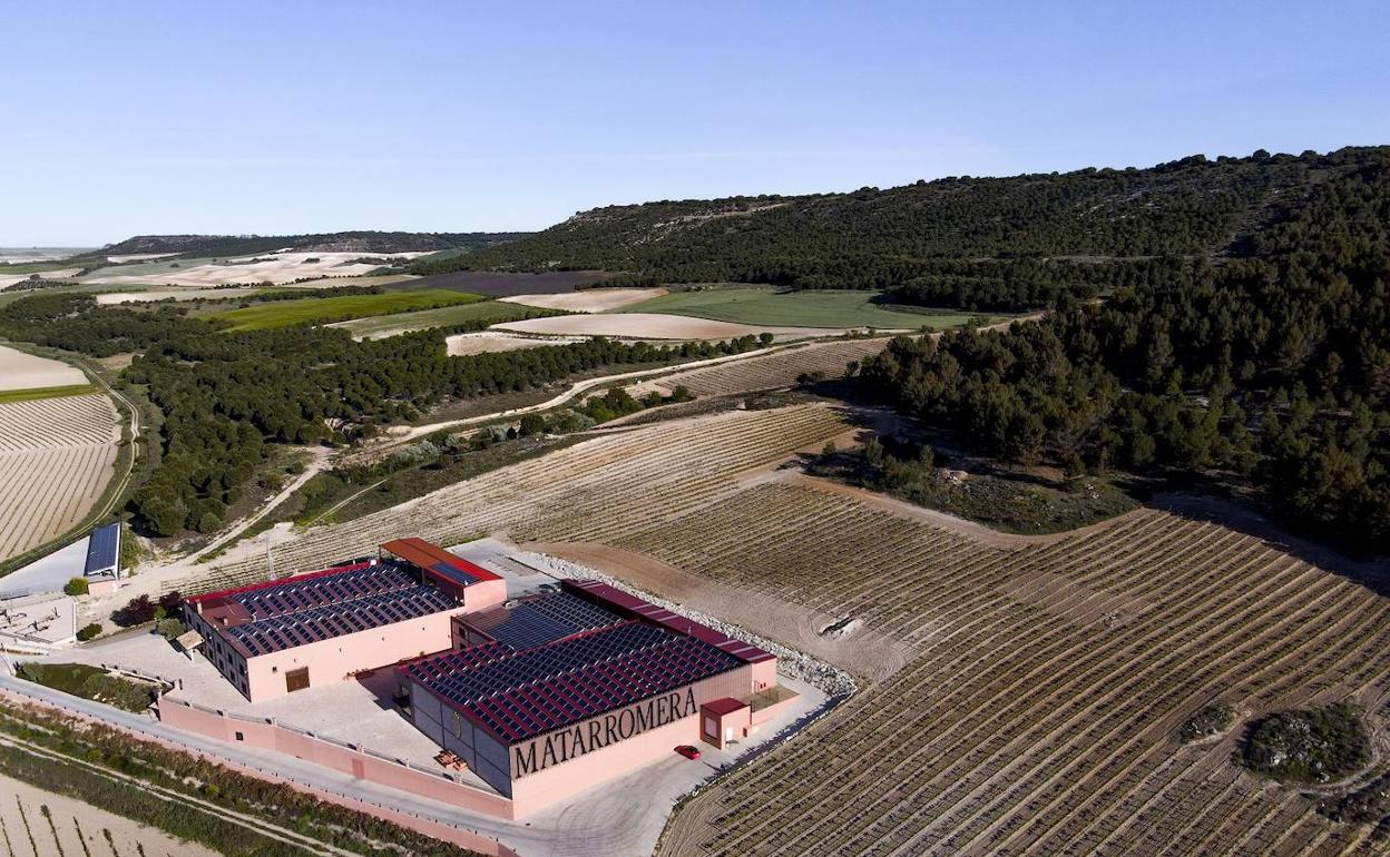 Matarromera, pionera en el uso de ozono para luchar contra las enfermedades de madera en la viña
