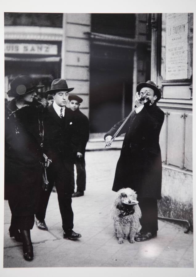 Fotos: Exposición &#039;La música callada&#039; en la Casa Revilla de Valladolid