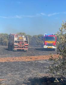 Imagen secundaria 2 - Incendio que este miércoles por la tarde ha calcinado varias tierras de cultivo entre La Santa Espina y San Cebrián de Mazote. 