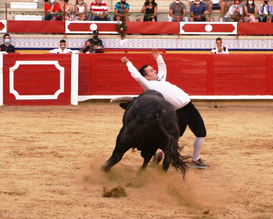 Fotos: Concurso goyesco de cortes de novillos de Pedrajas de San Esteban