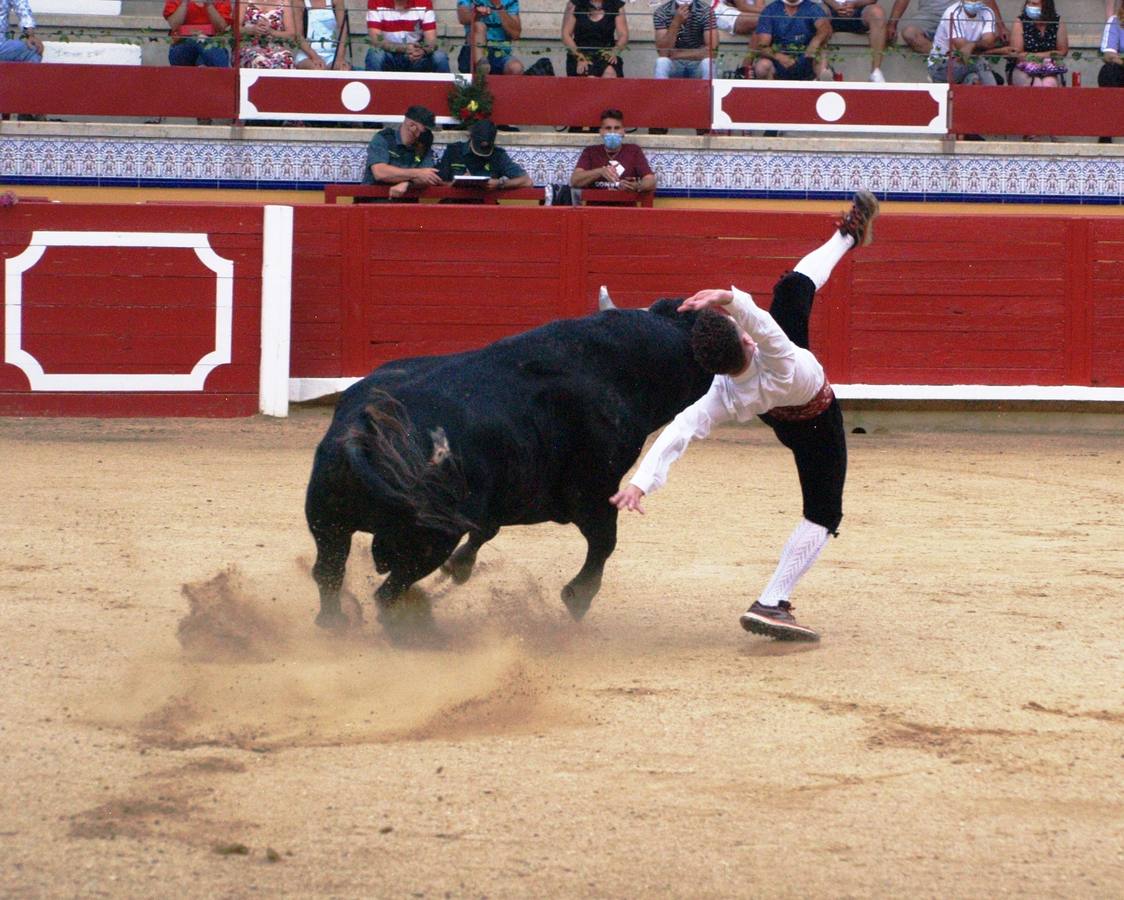 Fotos: Concurso goyesco de cortes de novillos de Pedrajas de San Esteban