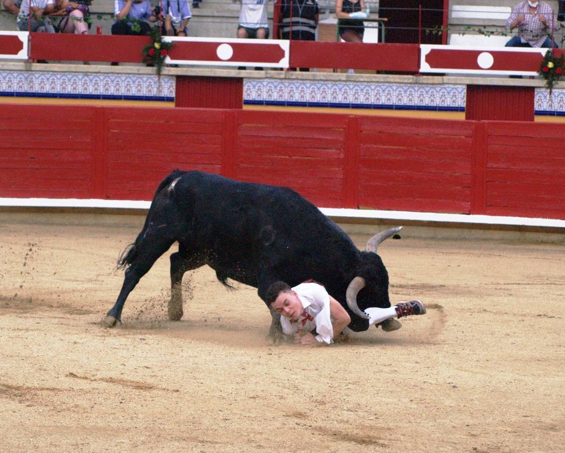 Fotos: Concurso goyesco de cortes de novillos de Pedrajas de San Esteban