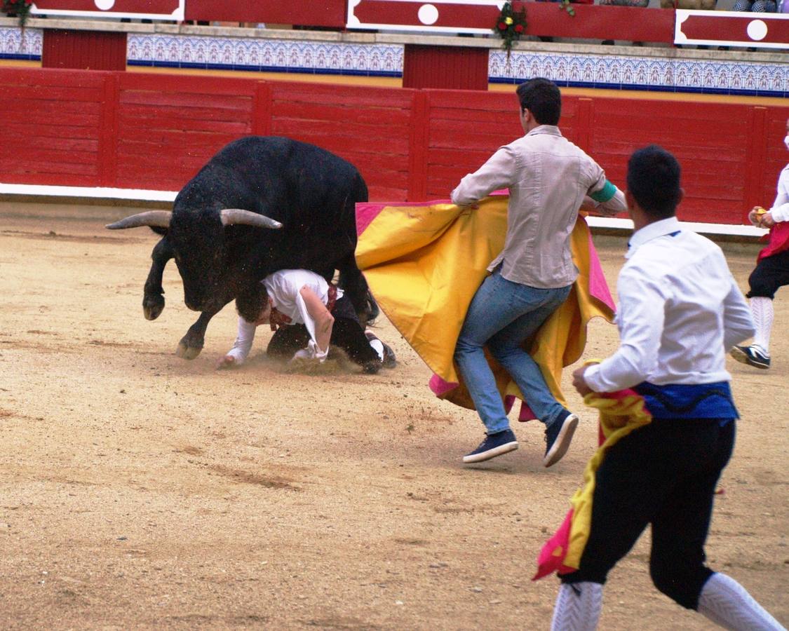 Fotos: Concurso goyesco de cortes de novillos de Pedrajas de San Esteban
