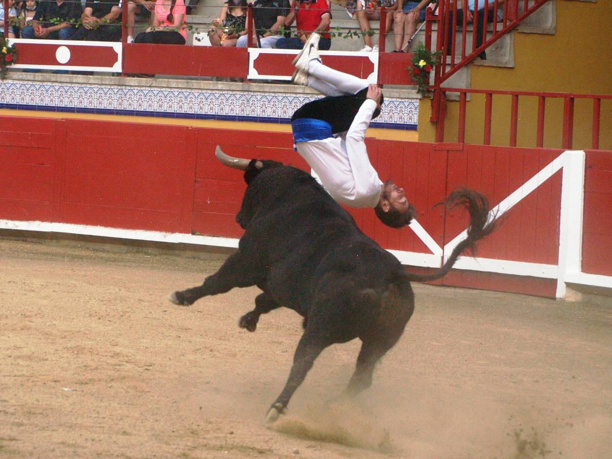 Fotos: Concurso goyesco de cortes de novillos de Pedrajas de San Esteban