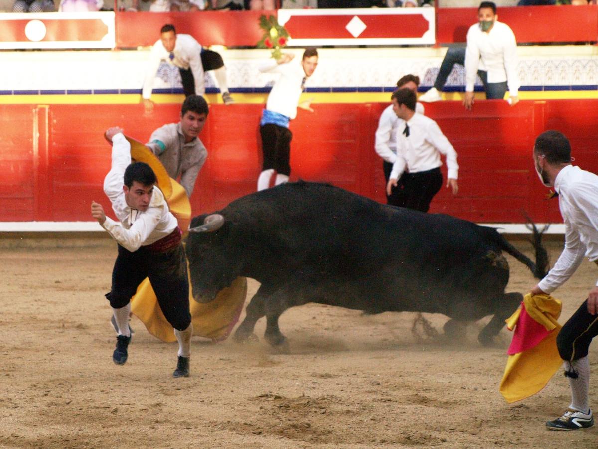 Fotos: Concurso goyesco de cortes de novillos de Pedrajas de San Esteban