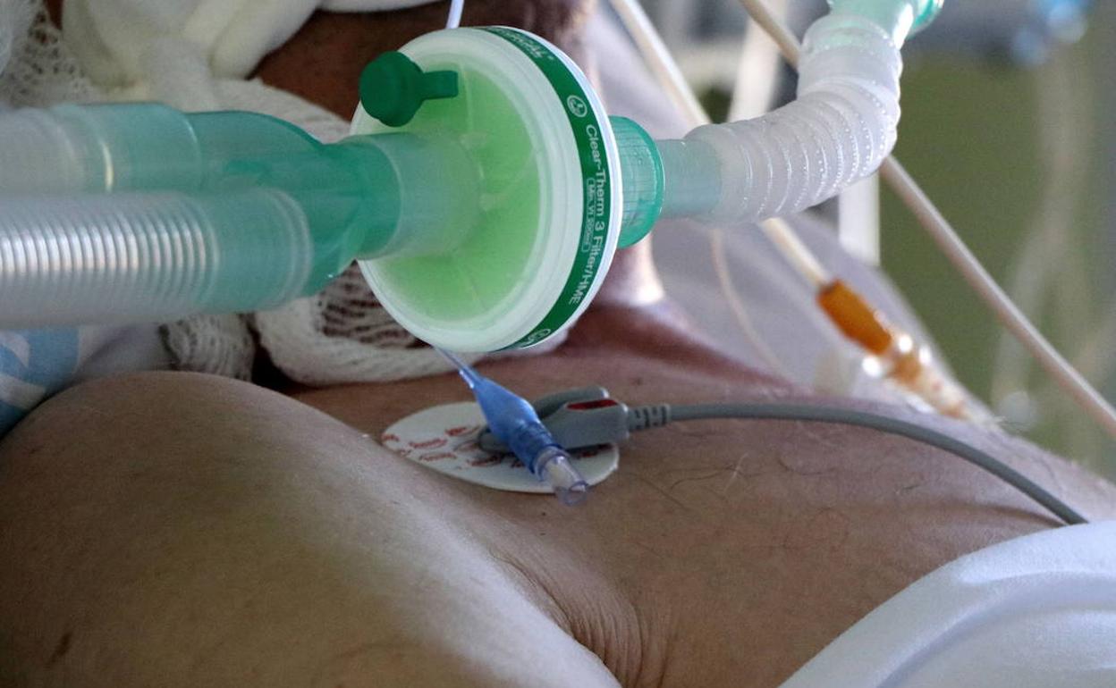 Un paciente, en la UCI del Clínico de Valladolid, en una imagen de archivo.