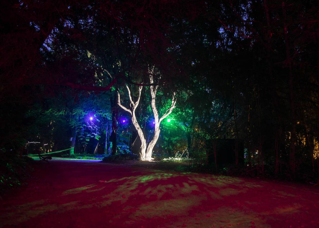 El Jardín Mágico, de Rodrigo Tamariz, en el Campo Grande.