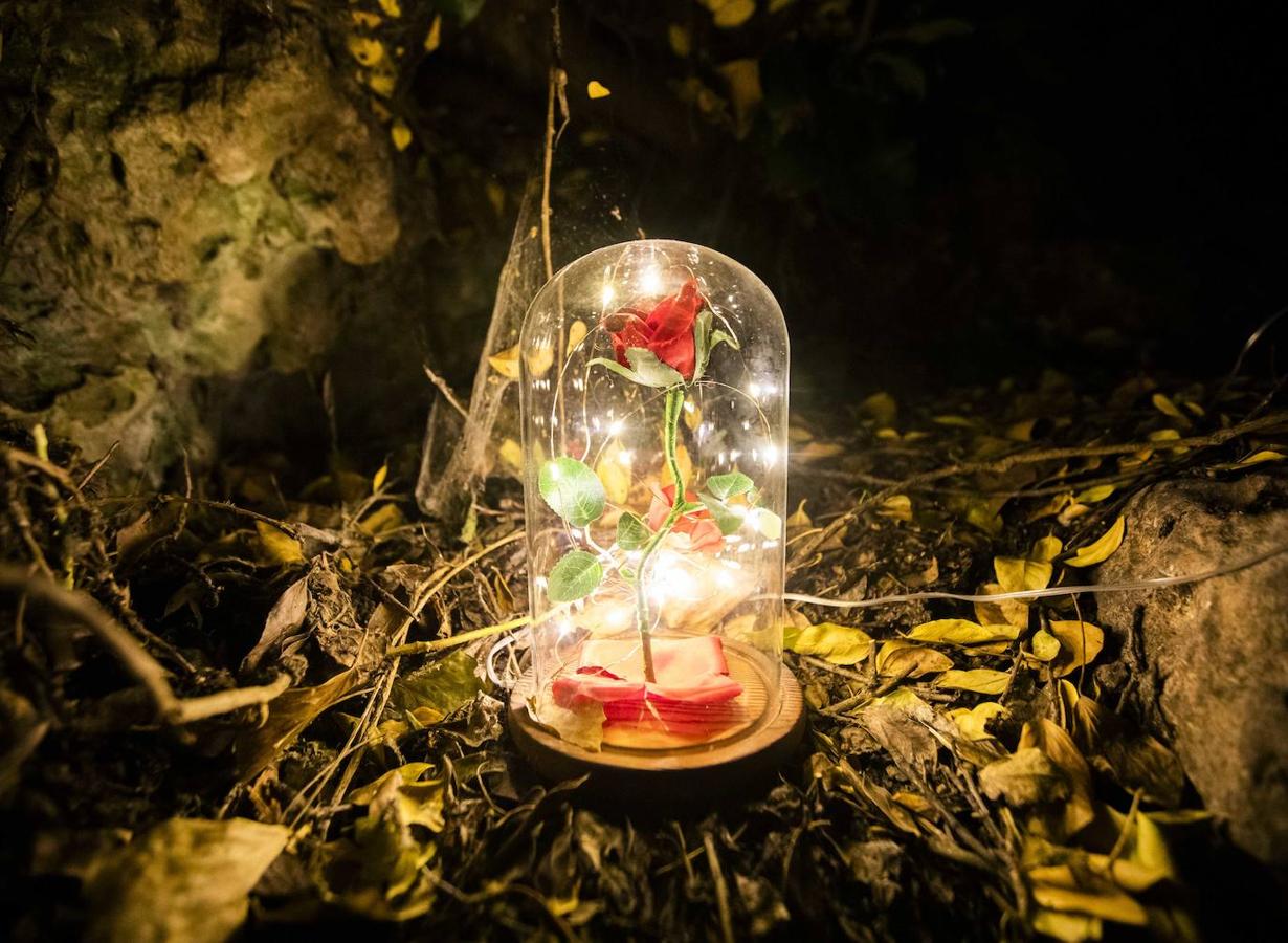 El Jardín Mágico, de Rodrigo Tamariz, en el Campo Grande.