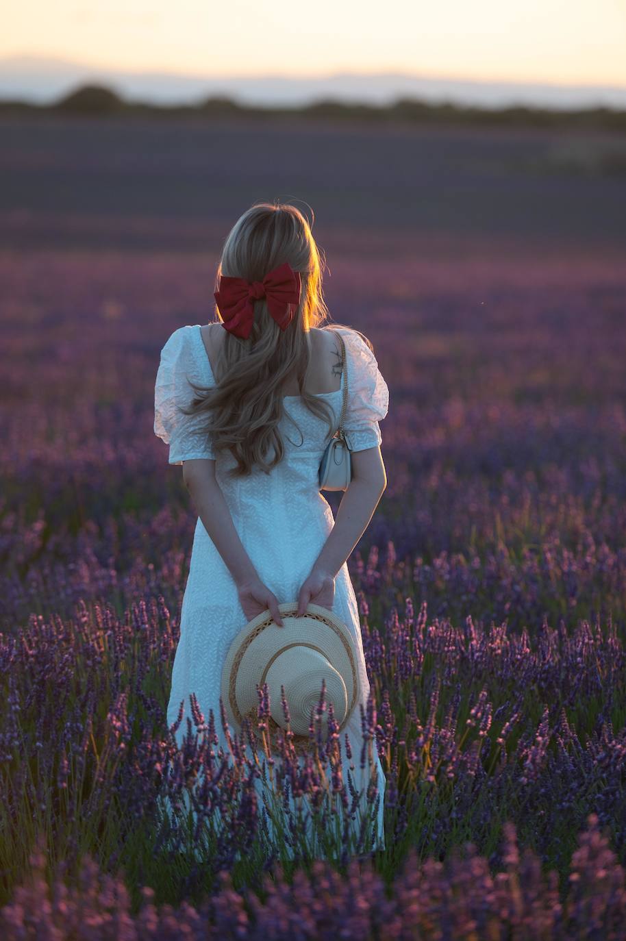 Fotos: Brihuega: así es el campo de lavanda más espectacular del mundo