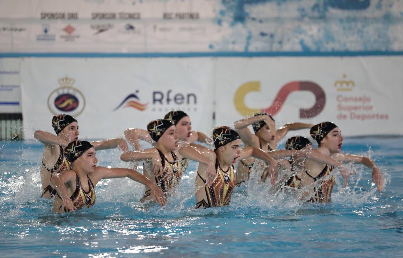 IX Campeonato de España de Natación Artística en piscina cubierta