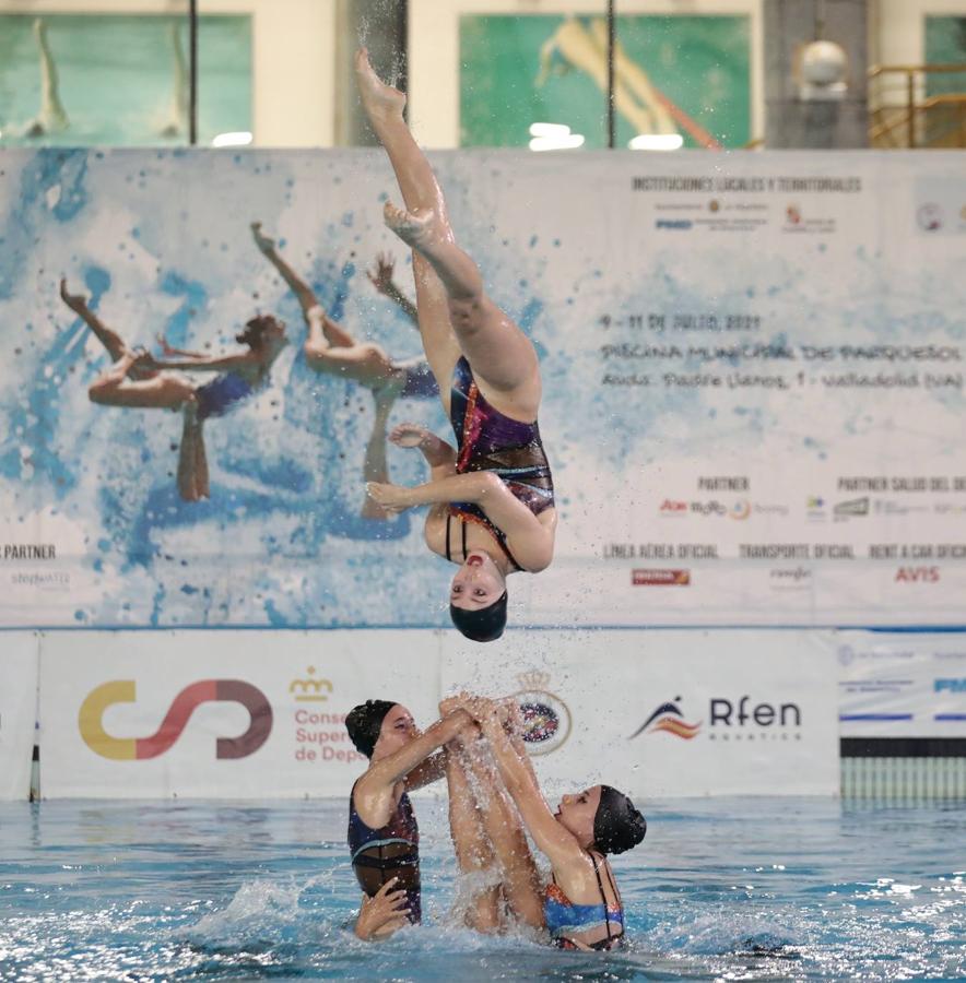 IX Campeonato de España de Natación Artística en piscina cubierta