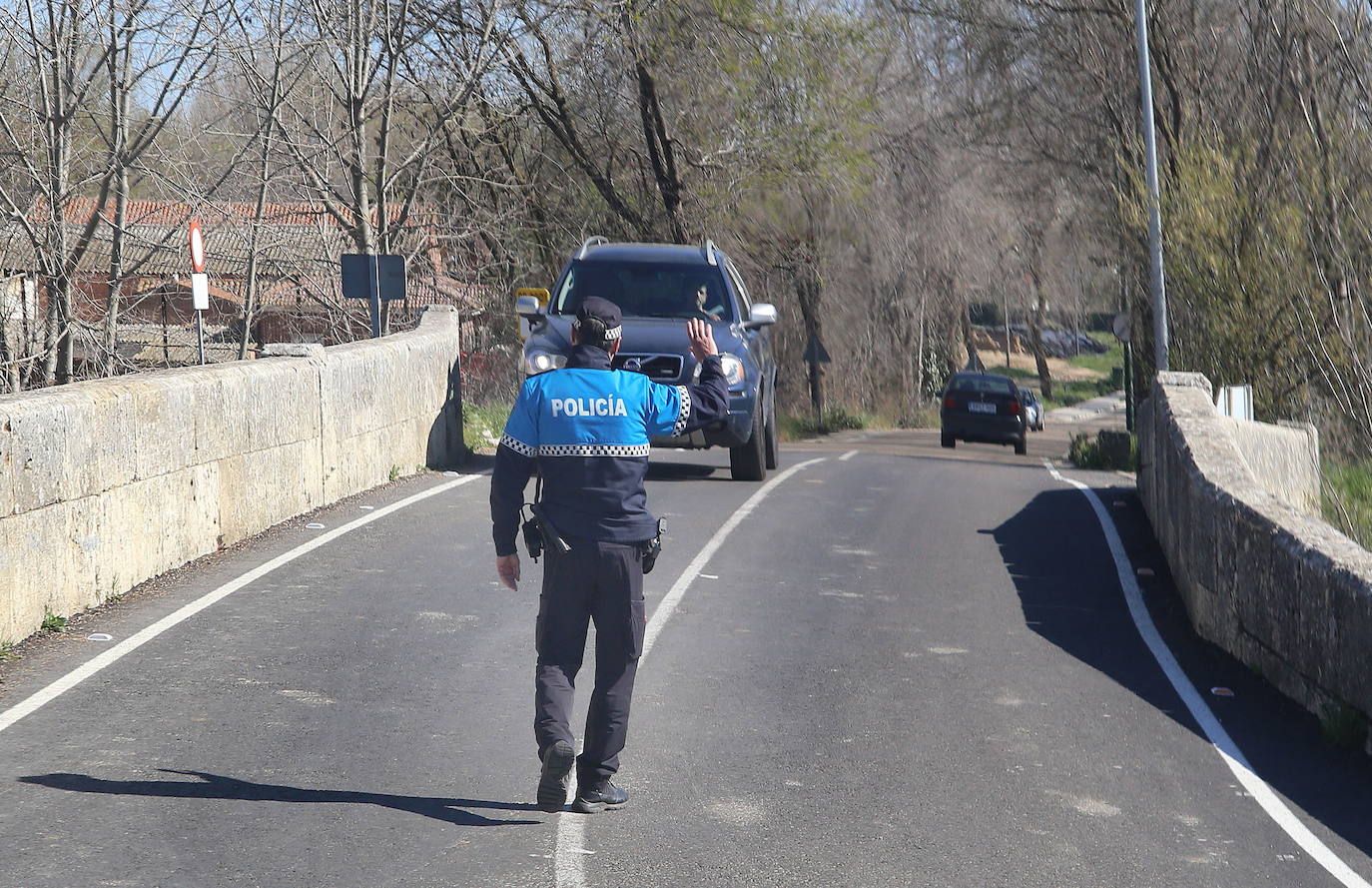 Un conductor ebrio y sin documentación choca contra un árbol en Palencia