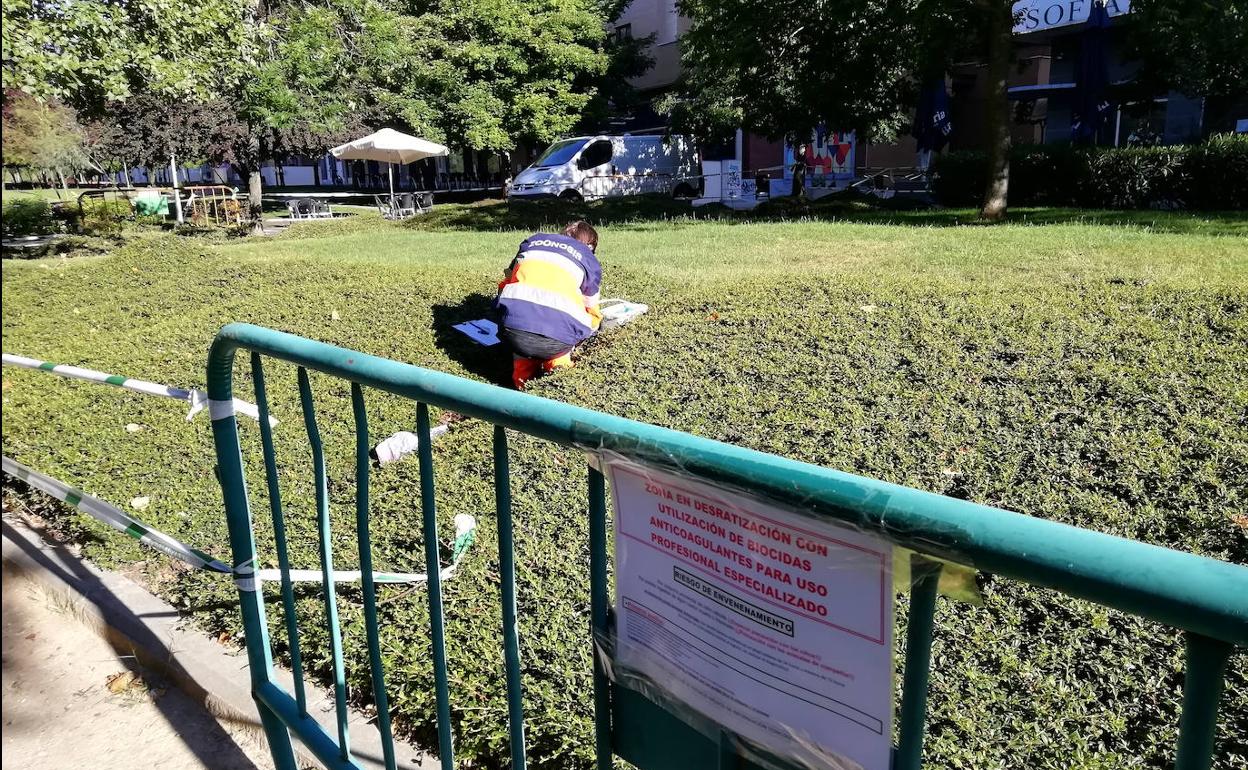 Un técnico examina los portacebos instalados en el jardín situado junto al parque del reloj de Parquesol. 