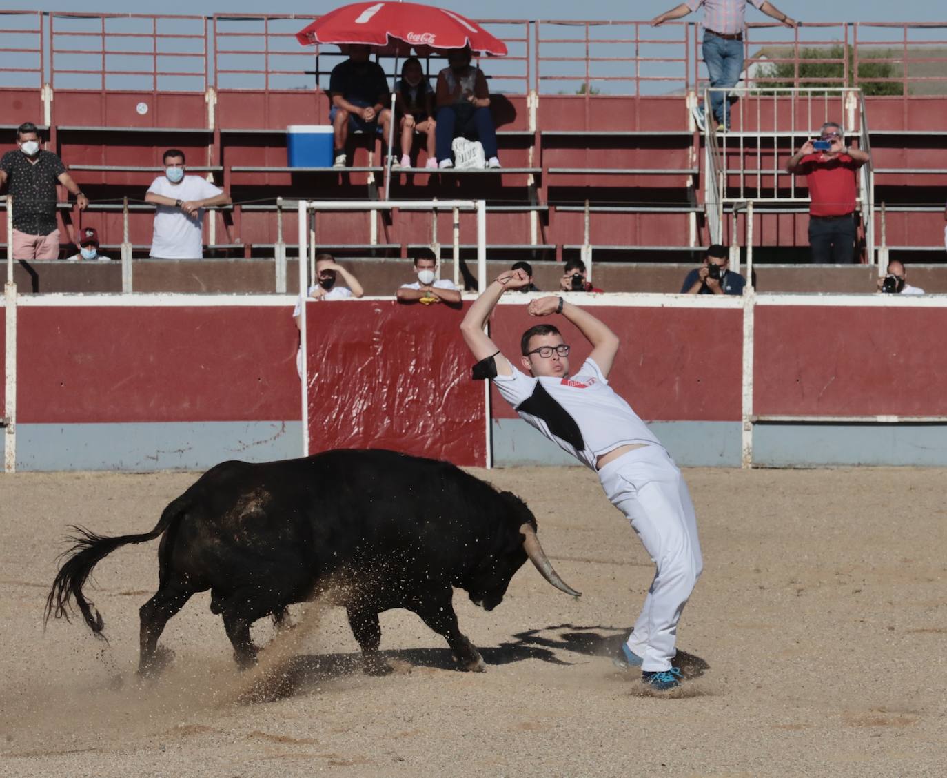 Fotos: Concurso de cortes en Cigales en honor a Santa Marina