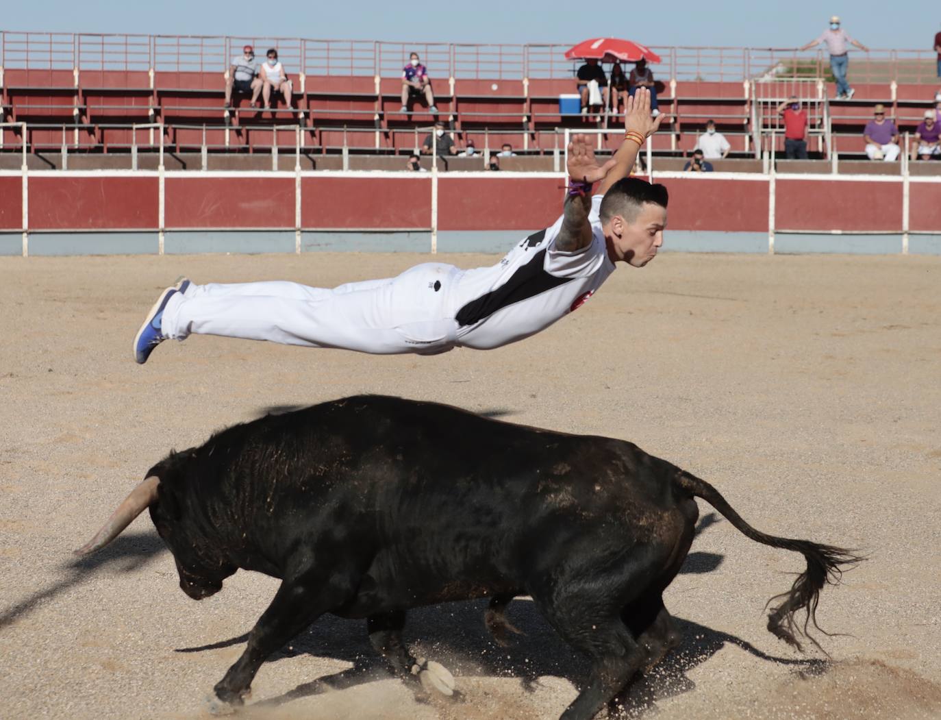 Fotos: Concurso de cortes en Cigales en honor a Santa Marina