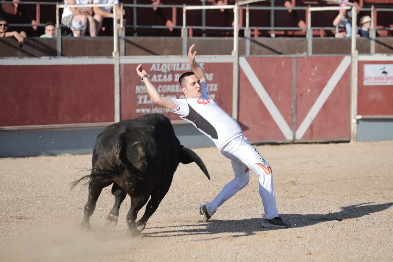 Fotos: Concurso de cortes en Cigales en honor a Santa Marina