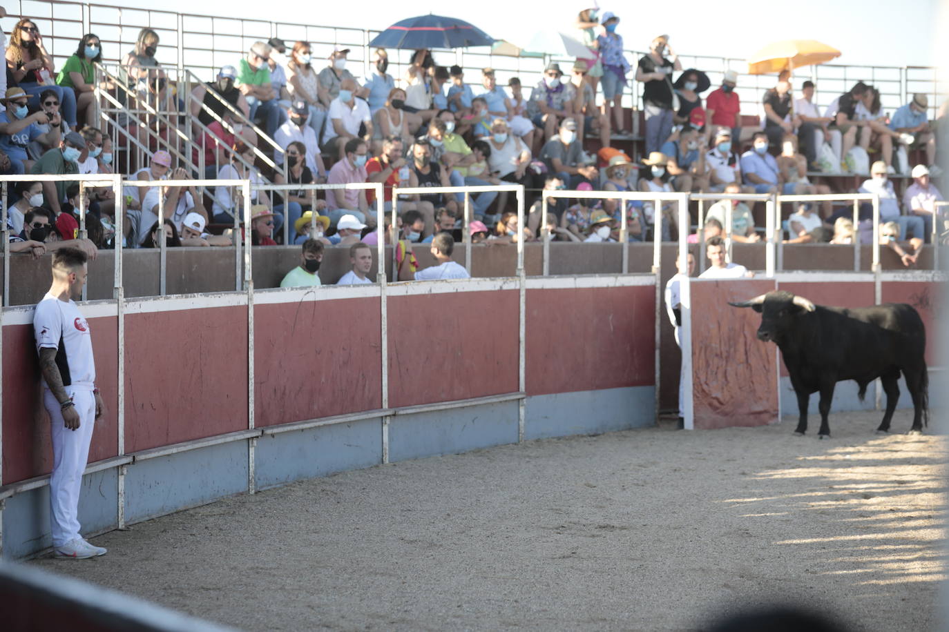 Fotos: Concurso de cortes en Cigales en honor a Santa Marina