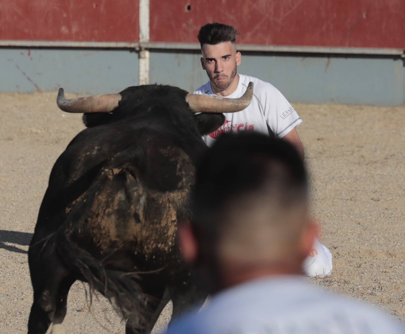 Fotos: Concurso de cortes en Cigales en honor a Santa Marina