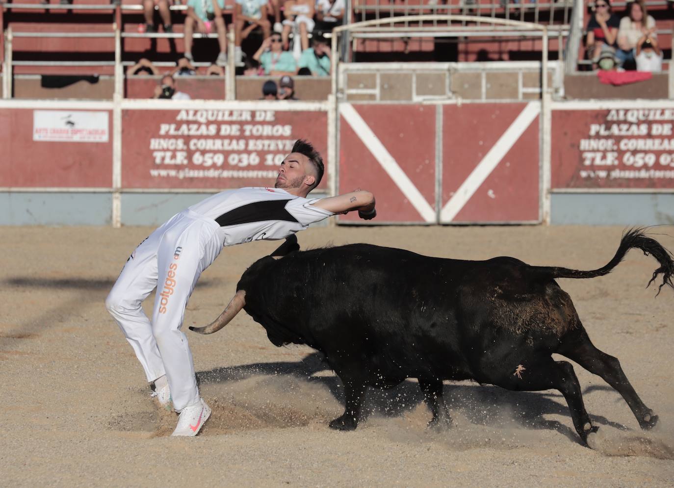 Fotos: Concurso de cortes en Cigales en honor a Santa Marina