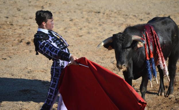 Tristán Barroso cita a su segundo novillo en la faena con muleta. 