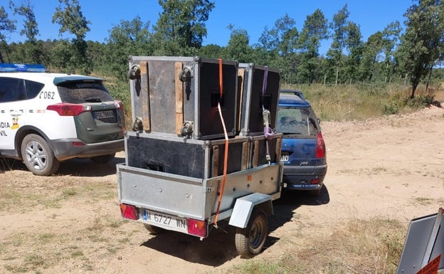 La Guardia Civil de Soria evita una fiesta rave de jóvenes en un monte