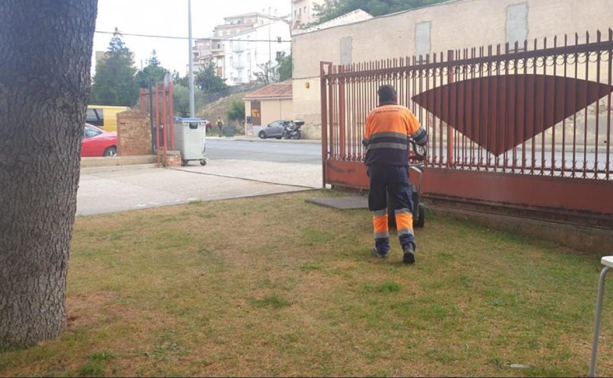 Trabajador realizando labores de mantenimiento de los espacios verdes de Alba de Tormes 