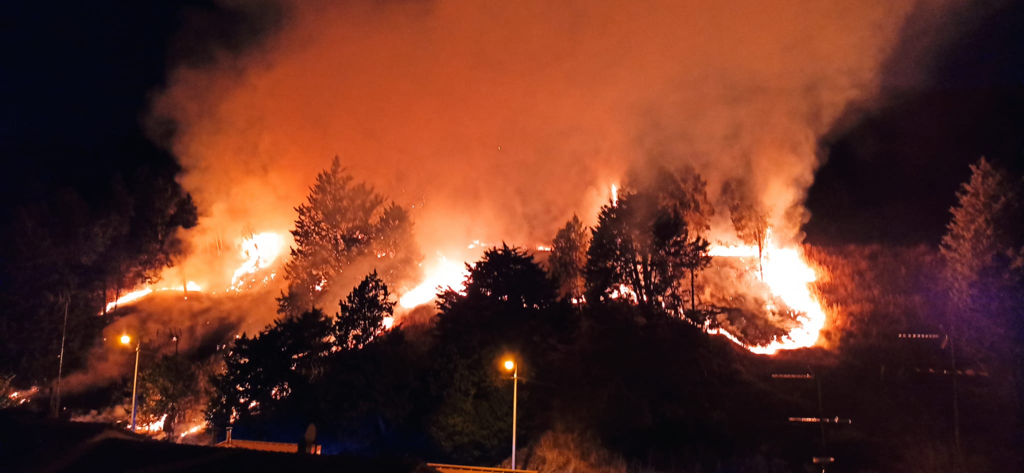 Fotos: Un incendio intencionado devora los aledaños del Castillo de Burgos