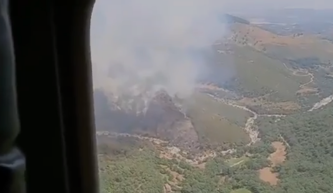 Un fuego de nivel 1 en Candeleda amenaza 30 hectáreas de masa arbolada