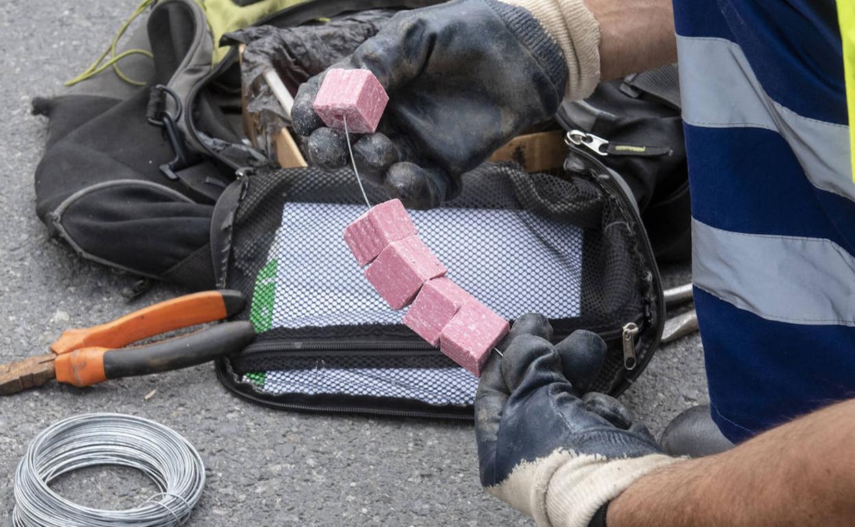 Manipulación del veneno que se coloca en alcantarillas para erradicar las plagas de ratas. 