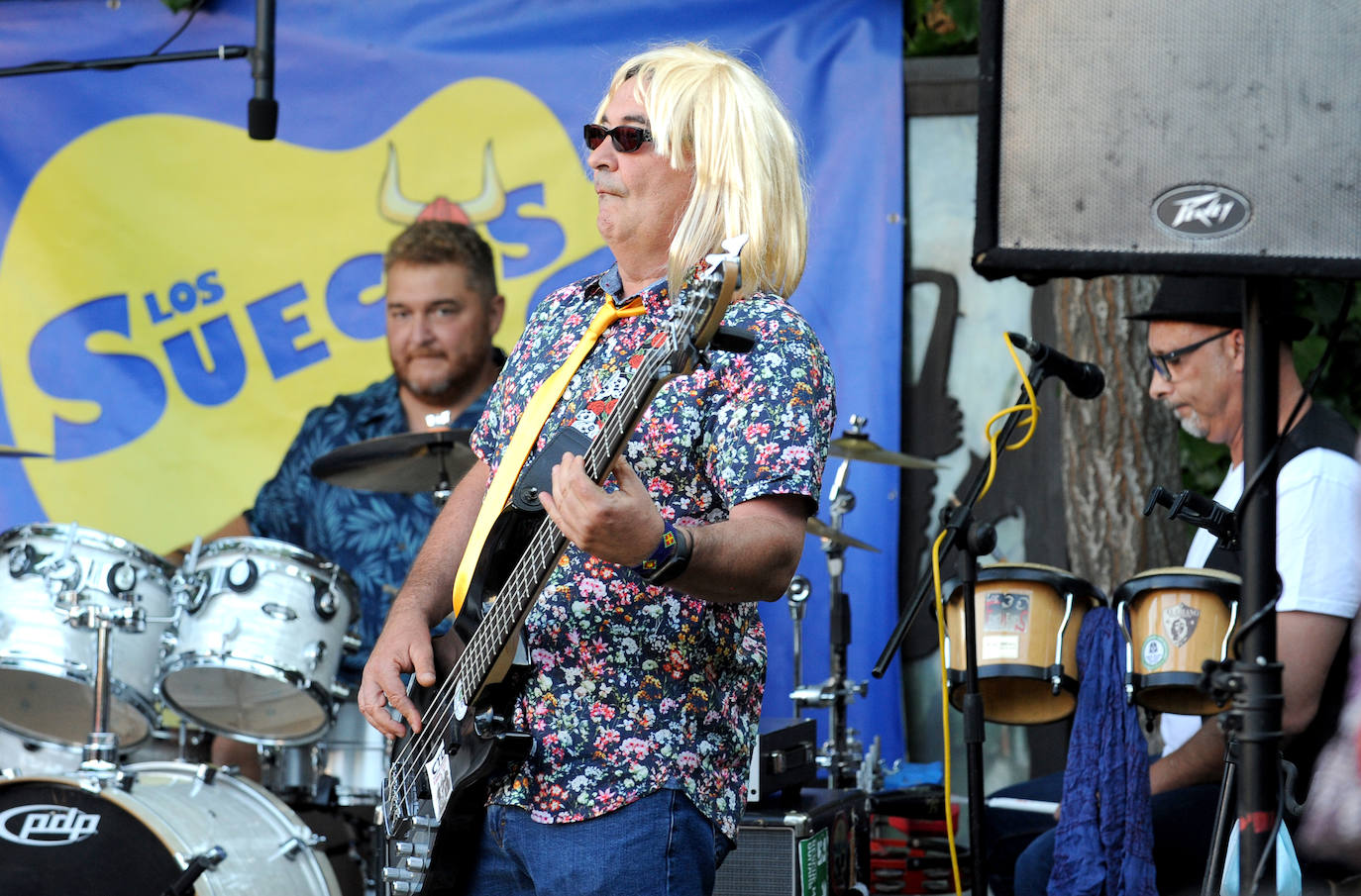 El concierto de Los Suecos, en Santovenia de Pisuerga.