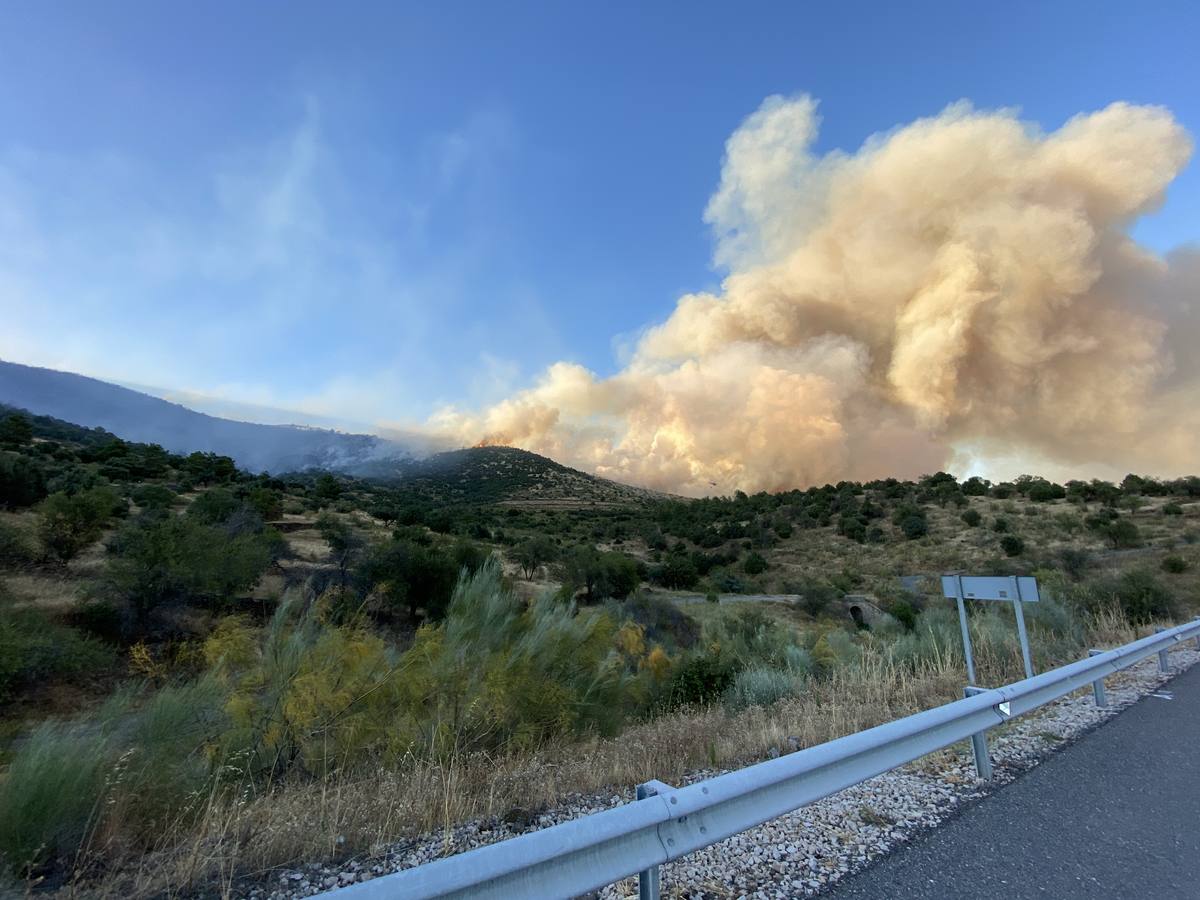 Fotos: Incendio en la localidad abulense de El Tiemblo