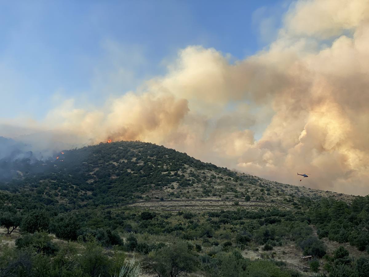 Fotos: Incendio en la localidad abulense de El Tiemblo