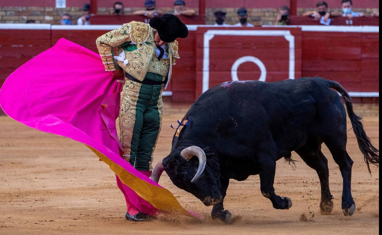 El diestro Morante de la Puebla, con el capote.