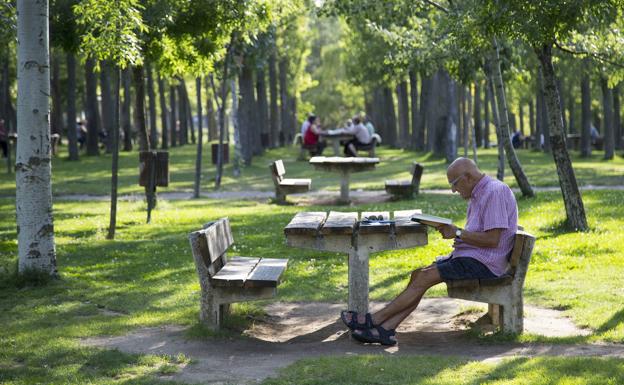 Un hombre lee eb el parque Ribera de Castilla.