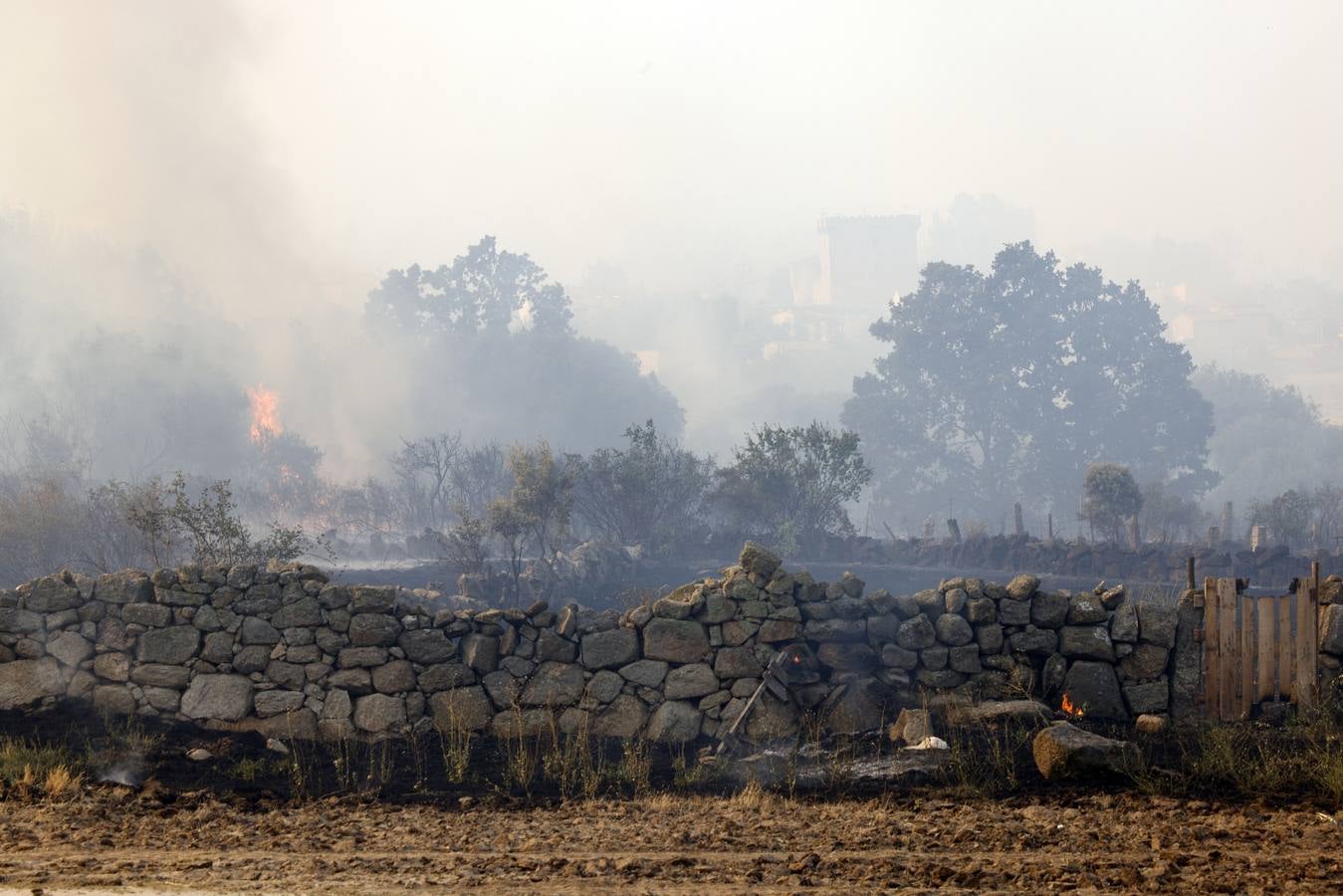 Fotos: El incendio forestal de Navalacruz obliga a desalojar varios pueblos de Ávila