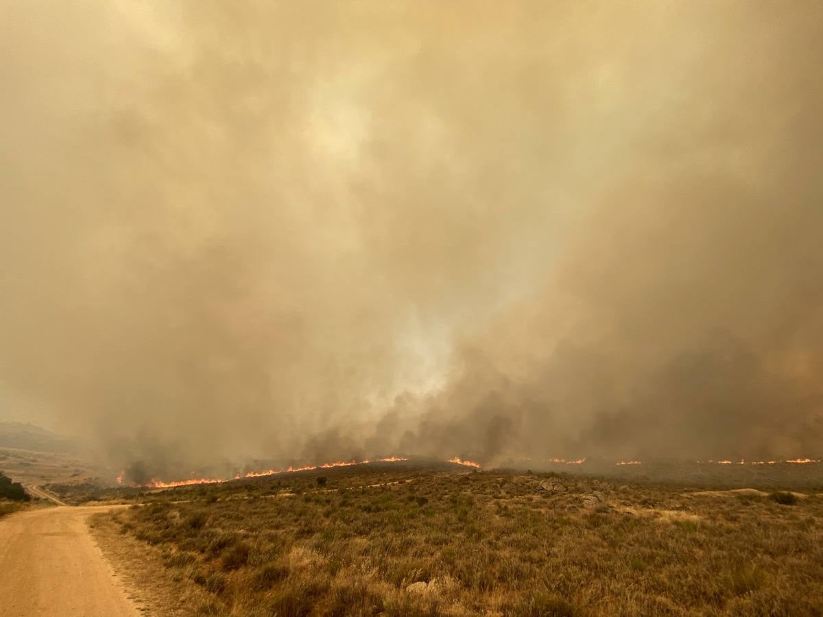 Fotos: El incendio forestal de Navalacruz obliga a desalojar varios pueblos de Ávila