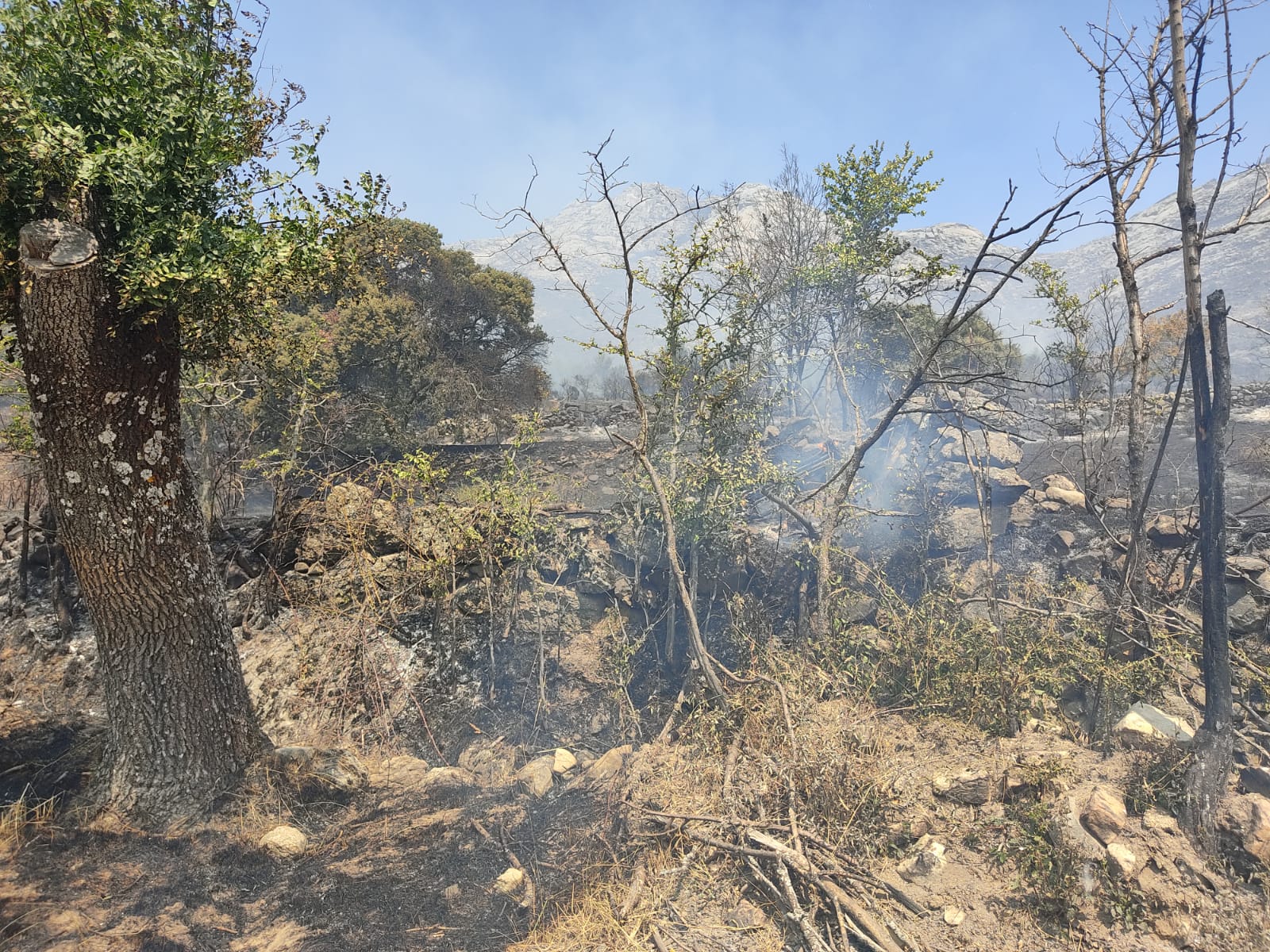 Fotos: Sigue la lucha contra el incendio de Navalacruz