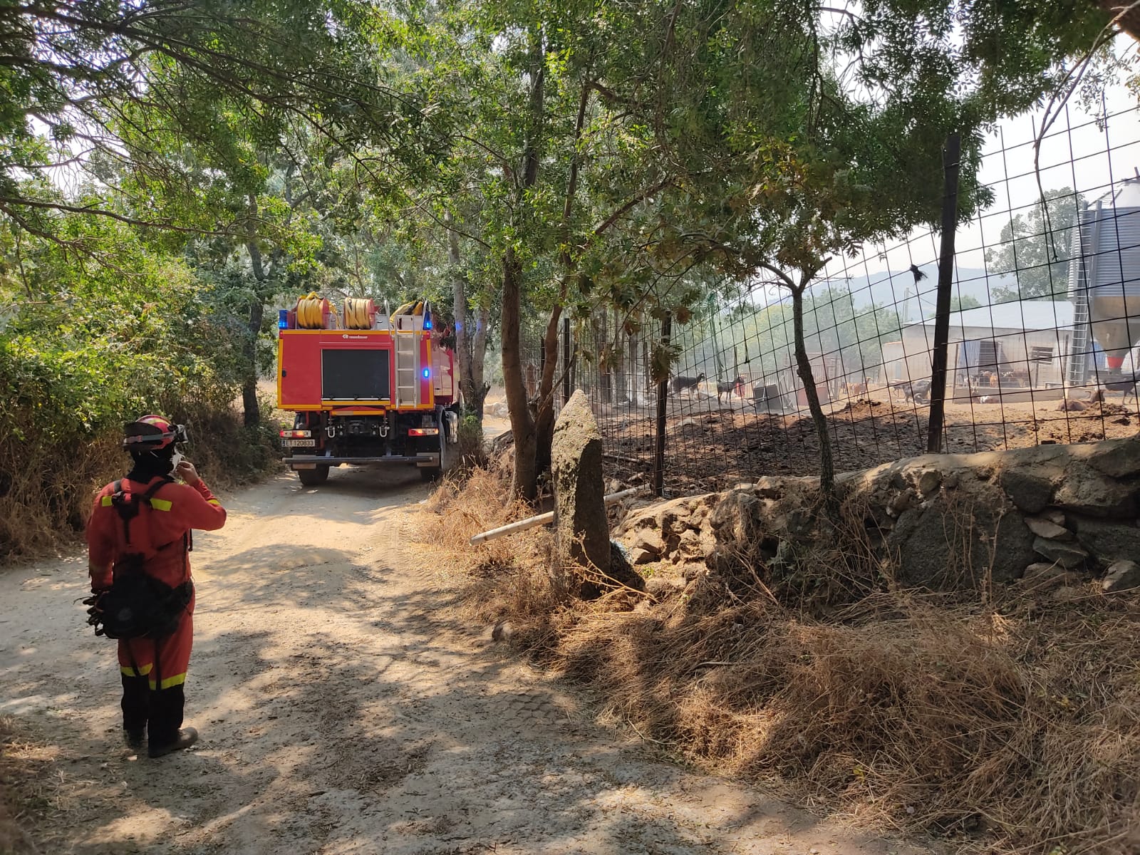 Fotos: Sigue la lucha contra el incendio de Navalacruz