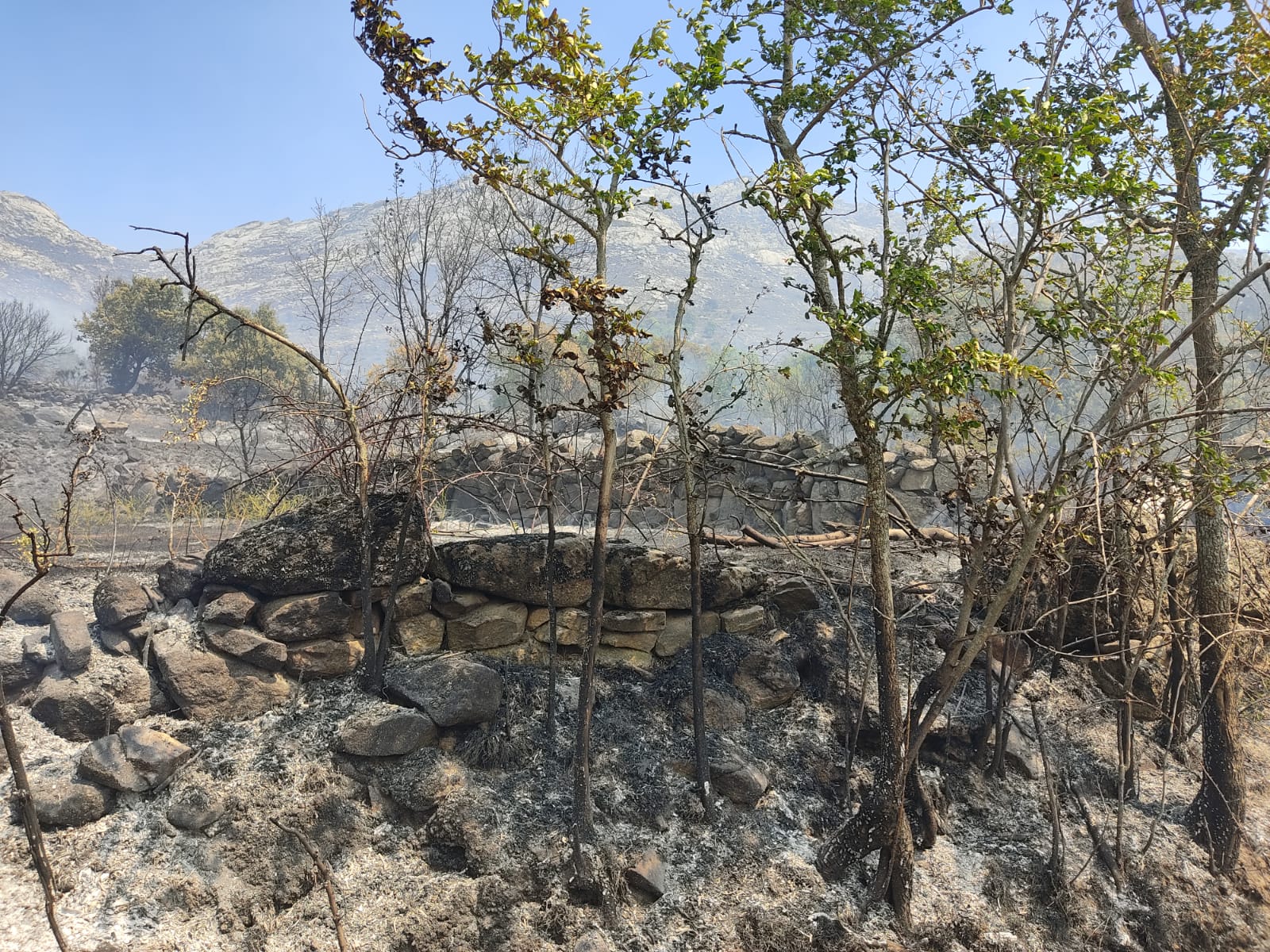 Fotos: Sigue la lucha contra el incendio de Navalacruz