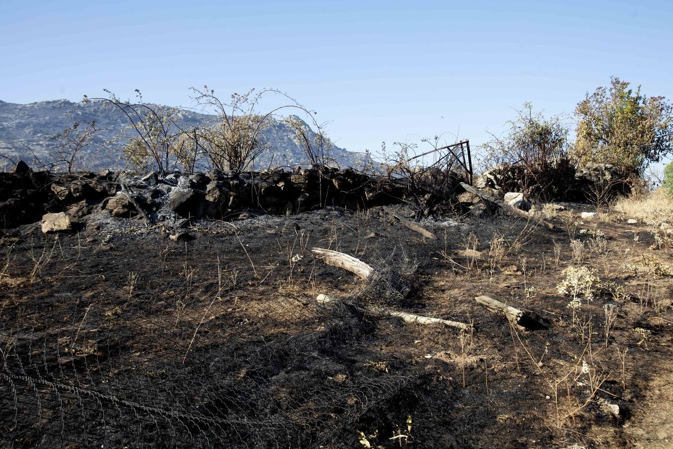 Fotos: Los vecinos desalojados por el incendio de Navalacruz regresan a sus casas