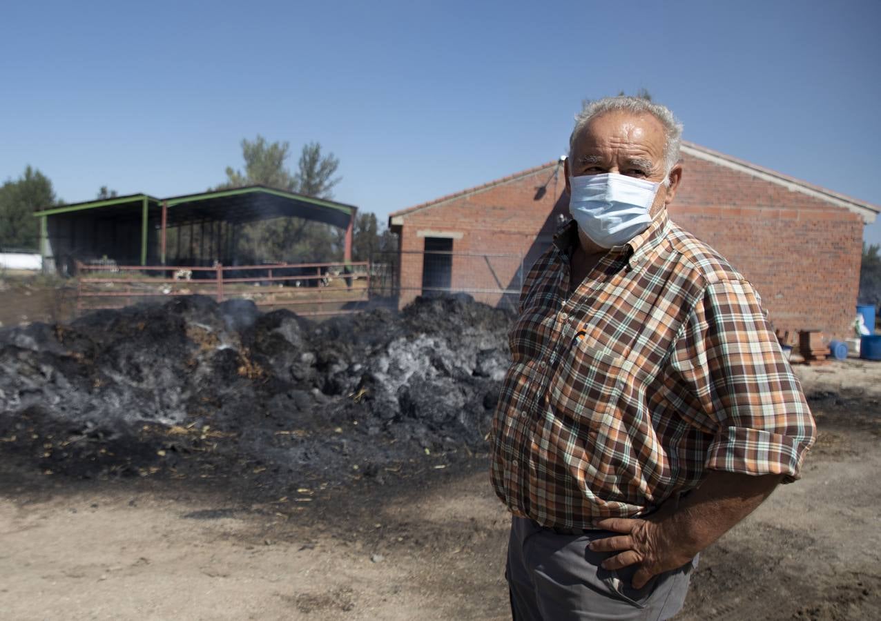 Fotos: Los vecinos desalojados por el incendio de Navalacruz regresan a sus casas