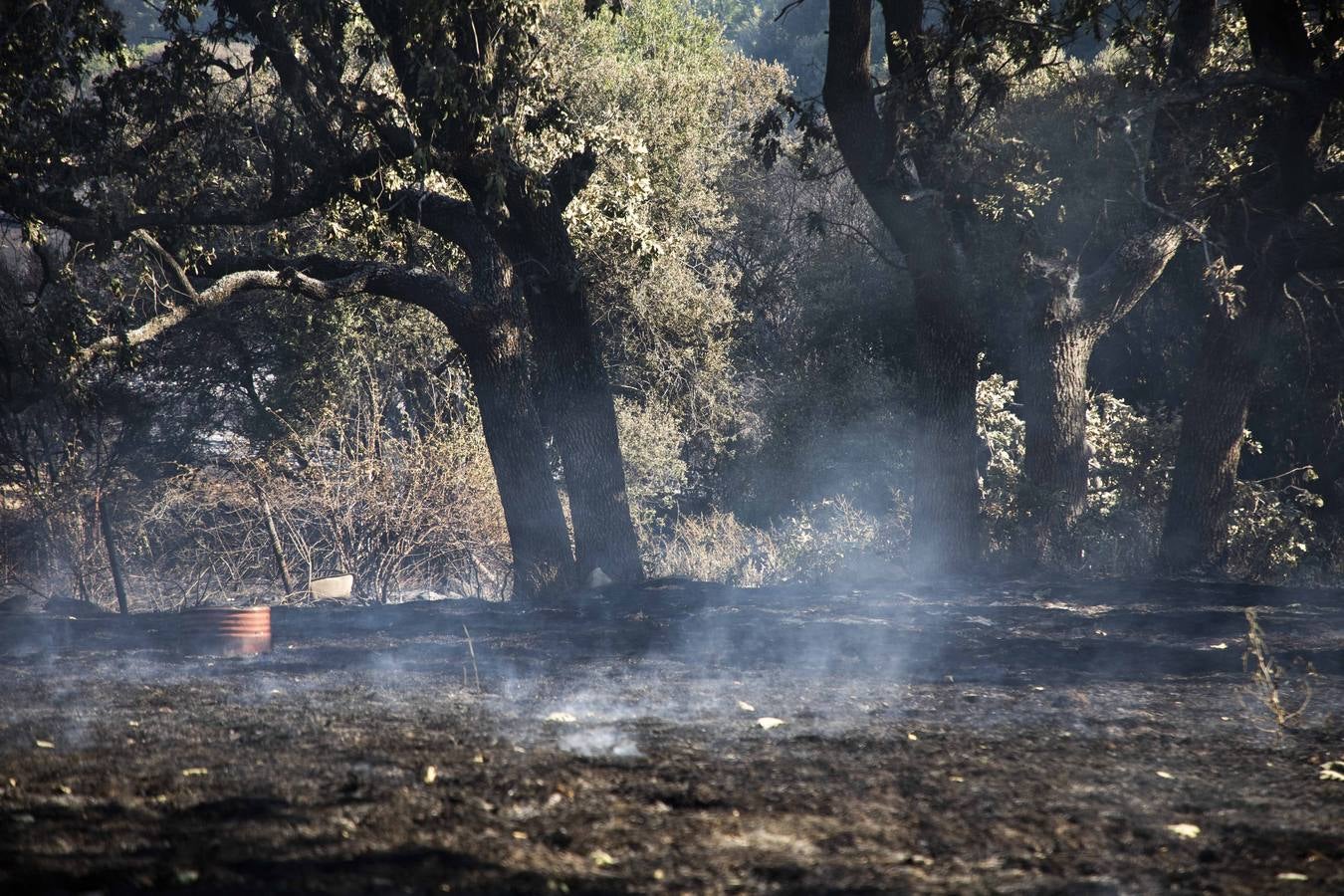 Fotos: Los vecinos desalojados por el incendio de Navalacruz regresan a sus casas