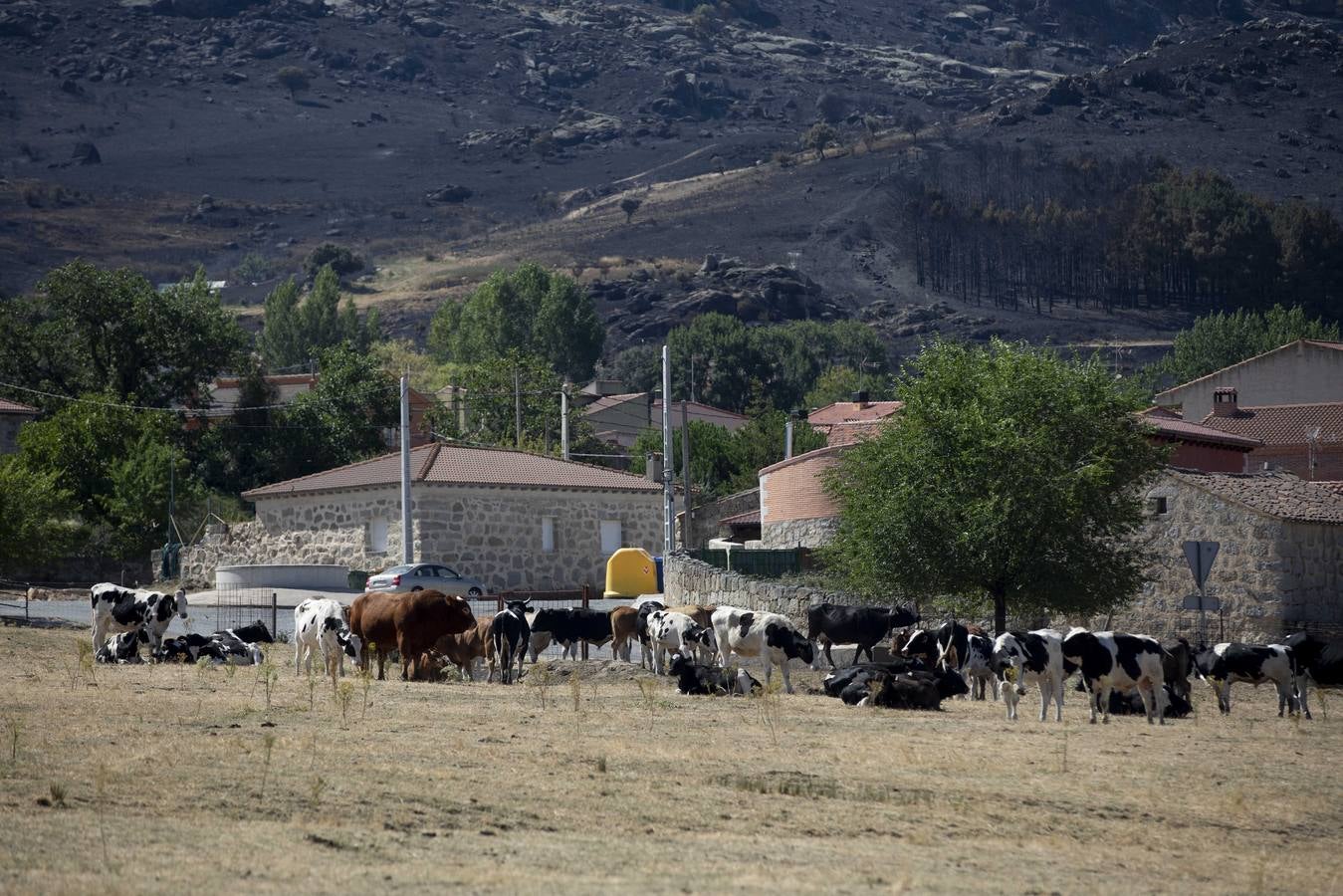 Fotos: Los vecinos desalojados por el incendio de Navalacruz regresan a sus casas