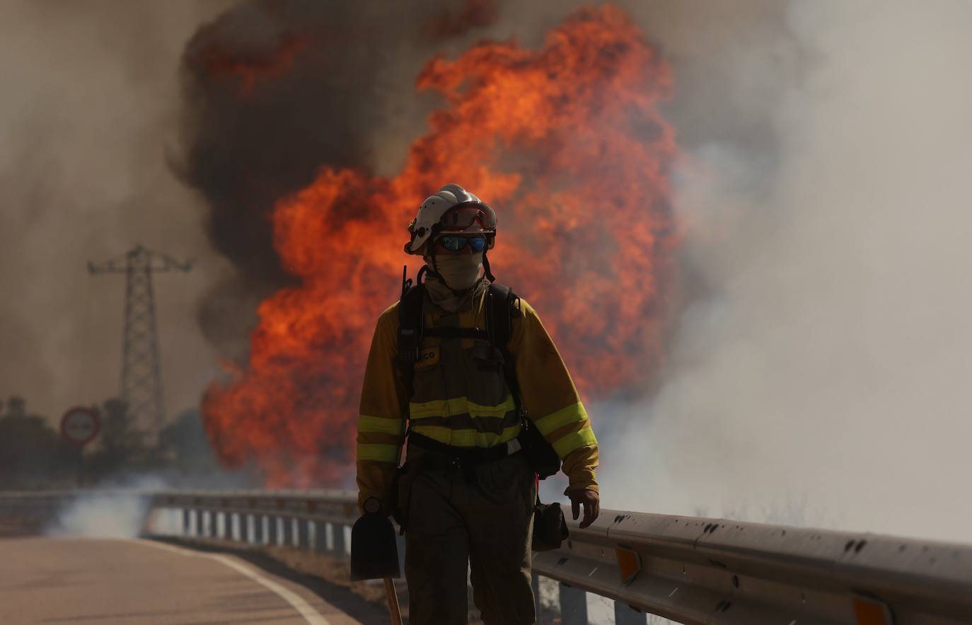 Fotos: Declarado en nivel 1 el incendio declarado en San Felices de Gallegos
