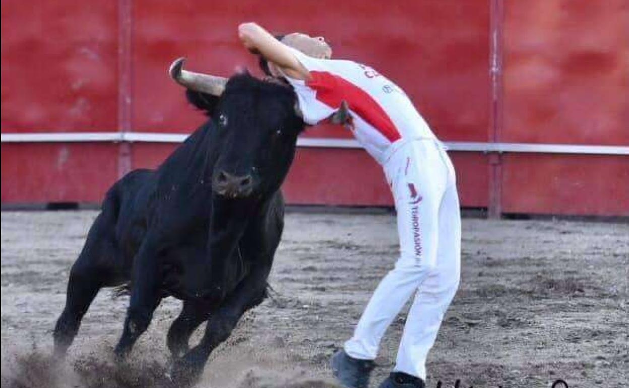 Uno de los cortes ajustados que se pudieron ver en Tudela de Duero.
