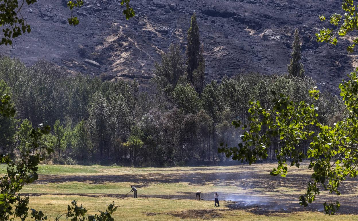 Incendio en Navalacruz (Ávila). 
