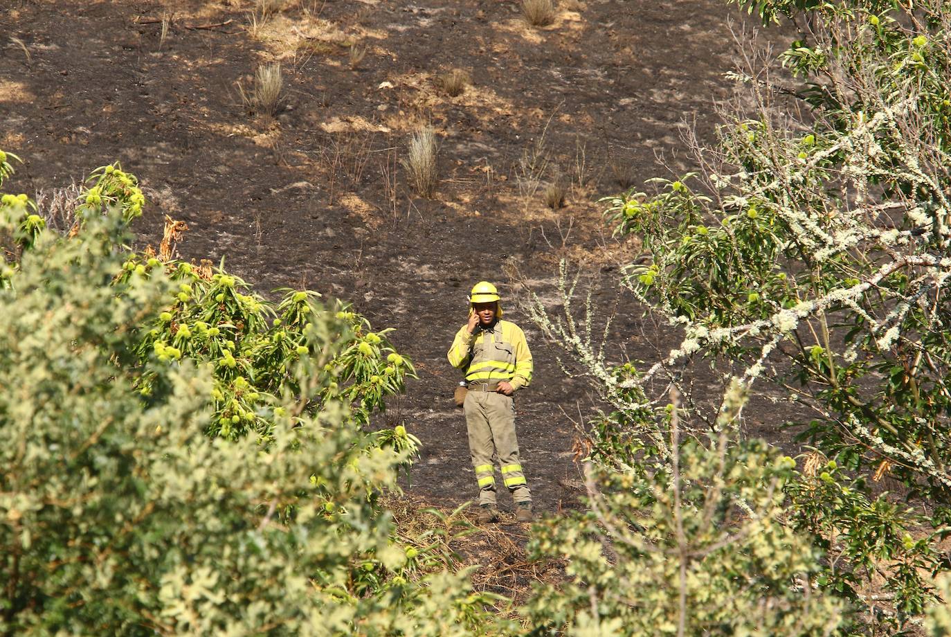 Incendio en la localidad de Trabadelo, León.