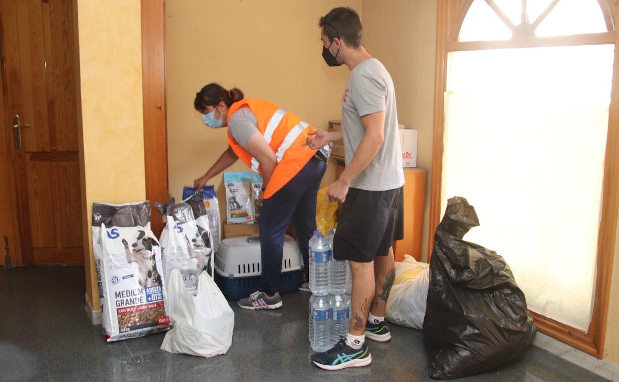 Recogida de material destinado a animales. 