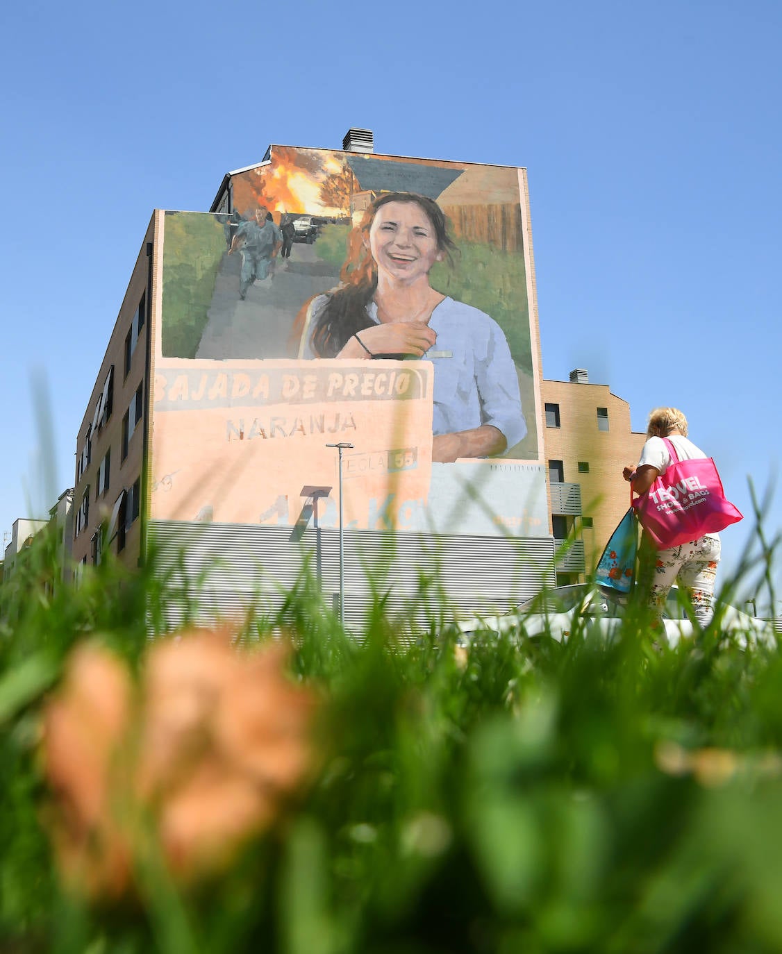 Los murales que lucen en algunas fachadas de Valladolid.