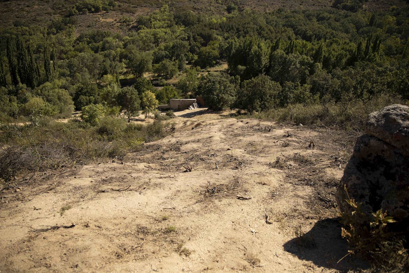 La zona afectada por el incendio de Navalacruz. 